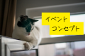 第2回ねこフェス2026開催決定 | 8月1(土)・2(日) 第2回ねこフェス2026開催決定 | 8月1(土)・2(日)