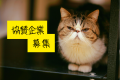第2回ねこフェス2026開催決定 | 8月1(土)・2(日) 第2回ねこフェス2026開催決定 | 8月1(土)・2(日)