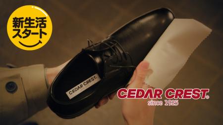 俳優の高橋文哉さんを起用した、新TVCM「買ったばかり 俳優の高橋文哉さんを起用した、新TVCM「買ったばかり