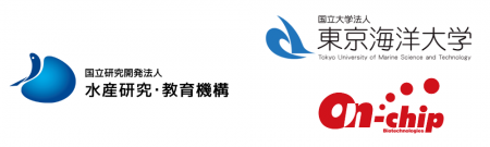 微小液滴技術を用いた海産微細藻類のハイスループット 微小液滴技術を用いた海産微細藻類のハイスループット