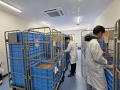 昆虫粉末を活用したサステナブル養殖飼料の共同実証試 昆虫粉末を活用したサステナブル養殖飼料の共同実証試