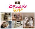 2月22日は「猫の日」!東京スカイツリータウン(R) 猫 2月22日は「猫の日」!東京スカイツリータウン(R) 猫