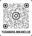 【発泡酒からビールへ!初の共同醸造コラボ】一社)湯 【発泡酒からビールへ!初の共同醸造コラボ】一社)湯