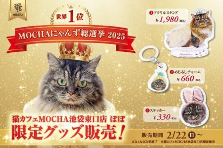 「MOCHAにゃんず総選挙2025」世界1位記念!特別な装い 「MOCHAにゃんず総選挙2025」世界1位記念!特別な装い