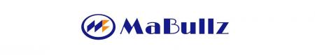 株式会社ブルズと合弁会社「株式会社MaBullz」を設立 株式会社ブルズと合弁会社「株式会社MaBullz」を設立