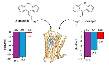 doxepin幾何異性体のヒスタミンH1受容体結合における doxepin幾何異性体のヒスタミンH1受容体結合における