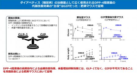 ダイアベティス(糖尿病)治療薬DPP-4阻害薬の“utf-8 ダイアベティス(糖尿病)治療薬DPP-4阻害薬の“utf-8