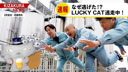 2月22日猫の日\逃げ出したLUCKY CATを探せ!/目撃情 2月22日猫の日\逃げ出したLUCKY CATを探せ!/目撃情