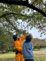 弘前市、ふるさと納税で「弘前公園さくらオーナutf-8 弘前市、ふるさと納税で「弘前公園さくらオーナutf-8