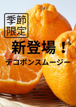 飲泉堂「デコポンスムージー」新登場! 飲泉堂「デコポンスムージー」新登場!
