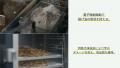 全国シェア0.26%の希少なさつまいもを使った大utf-8 全国シェア0.26%の希少なさつまいもを使った大utf-8