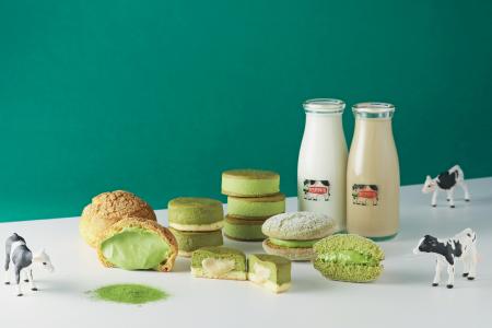 【あさぎり牛乳】「静岡抹茶シリーズ」3月より発売! 【あさぎり牛乳】「静岡抹茶シリーズ」3月より発売!