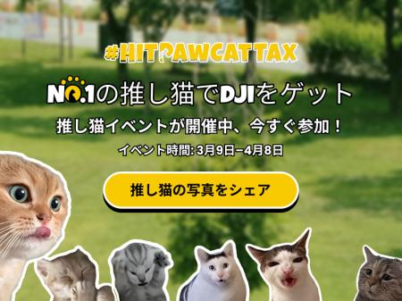 HitPaw自慢の推し猫イベント開催中|自分の猫写真でDJ HitPaw自慢の推し猫イベント開催中|自分の猫写真でDJ