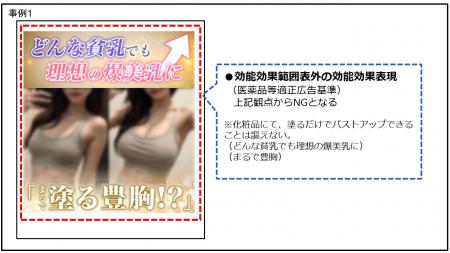 【定期調査】薬機法・景品表示法違反の恐れがある広告 【定期調査】薬機法・景品表示法違反の恐れがある広告