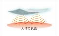 着ることで血行を促進し、疲労を回復する。ワコールが 着ることで血行を促進し、疲労を回復する。ワコールが
