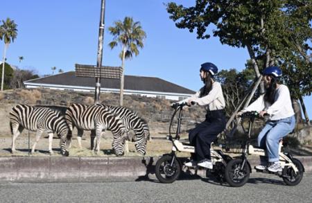 和歌山発 glafit × アドベンチャーワールド がコラボ 和歌山発 glafit × アドベンチャーワールド がコラボ