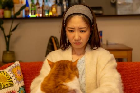 土ドラ特別企画『元カレの猫を、預かりまして。』3月1 土ドラ特別企画『元カレの猫を、預かりまして。』3月1