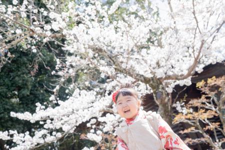 桜の下で家族写真を。春しかできない「桜ロケ撮影イベ 桜の下で家族写真を。春しかできない「桜ロケ撮影イベ