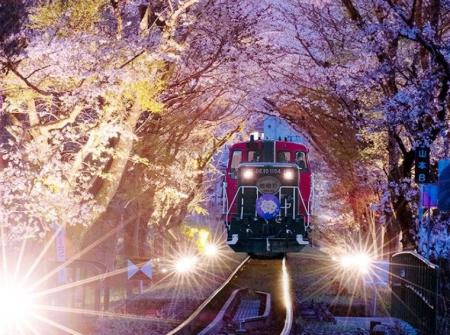 【2026年お花見トレンド】インバウンド混雑を回避!ベ 【2026年お花見トレンド】インバウンド混雑を回避!ベ