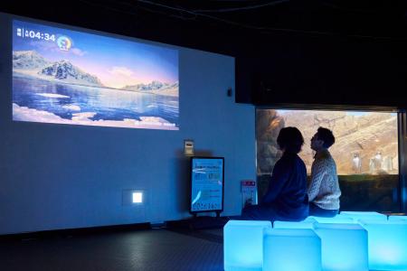 共創型インタラクティブアート空間が誕生 ペンギンワ 共創型インタラクティブアート空間が誕生 ペンギンワ