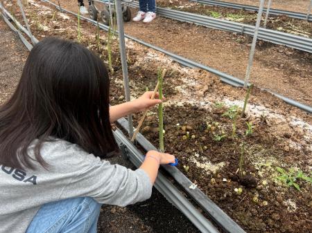 日本トリムの農業用電解水素水整水器を活用電解水素水 日本トリムの農業用電解水素水整水器を活用電解水素水
