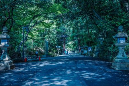 祈りの風景をたどる|古道に響く、音声ガイド「山の辺 祈りの風景をたどる|古道に響く、音声ガイド「山の辺