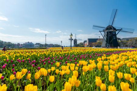 「ハウステンボスでしたいこと」ランキング~1位utf-8 「ハウステンボスでしたいこと」ランキング~1位utf-8