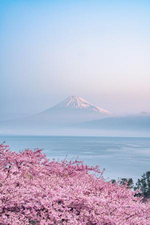 2026年4月特設展示Photographer Sho氏の作品を本展に 2026年4月特設展示Photographer Sho氏の作品を本展に