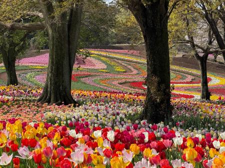 【取材のご案内】ついに「絶景」が完成。 過去最大6,0 【取材のご案内】ついに「絶景」が完成。 過去最大6,0