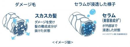 女神級にまとまるツヤ髪へ導く『MEGAMIS』から『雨上 女神級にまとまるツヤ髪へ導く『MEGAMIS』から『雨上