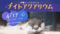 4月18日は三重県民の日!“地元だからこそ、お得に楽し 4月18日は三重県民の日!“地元だからこそ、お得に楽し