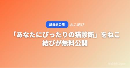 「あなたにぴったりの猫診断」をねこ結びが無料公開 ─ 「あなたにぴったりの猫診断」をねこ結びが無料公開 ─