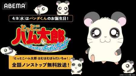 4月8日(水)は「ハムちゃんず」の“職人”パンダくんの 4月8日(水)は「ハムちゃんず」の“職人”パンダくんの