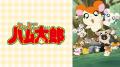 4月8日(水)は「ハムちゃんず」の“職人”パンダくんの 4月8日(水)は「ハムちゃんず」の“職人”パンダくんの