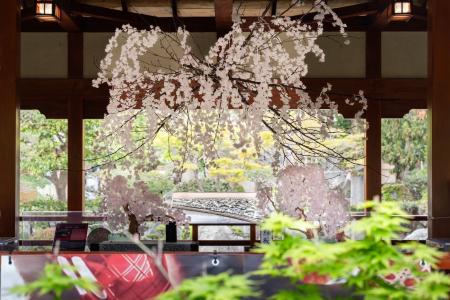 【モナコ公国で大反響】和紙と廃ガラスで創る「満開の 【モナコ公国で大反響】和紙と廃ガラスで創る「満開の