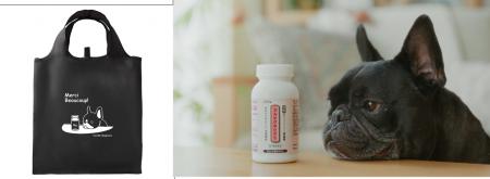 テレビCMで活躍中のフレンチブルドッグ「ジョージくん テレビCMで活躍中のフレンチブルドッグ「ジョージくん