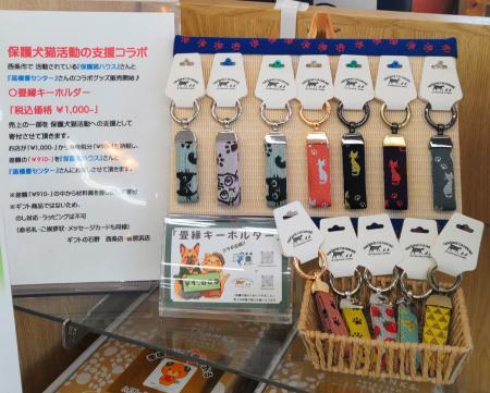 愛媛県西条市で広がる保護犬猫活動の輪!地域の畳店・ 愛媛県西条市で広がる保護犬猫活動の輪!地域の畳店・