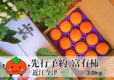 10月26日は柿の日【滋賀県高島市ふるさと納税】肉厚な 10月26日は柿の日【滋賀県高島市ふるさと納税】肉厚な