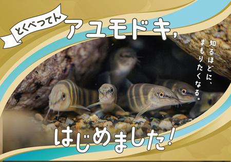 【京都水族館】国の天然記念物を知る期間限定展utf-8 【京都水族館】国の天然記念物を知る期間限定展utf-8