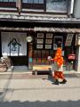 【5月16日・滋賀】秀吉時代の長浜にタイムスリップ。 【5月16日・滋賀】秀吉時代の長浜にタイムスリップ。