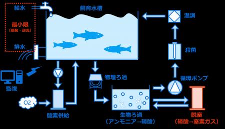 閉鎖循環式陸上養殖プラントの実証プロジェクトを開始 閉鎖循環式陸上養殖プラントの実証プロジェクトを開始