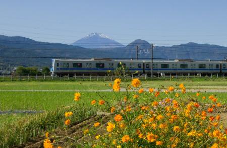 小田急の株主優待がさらに魅力的に 株主優待制度を順 小田急の株主優待がさらに魅力的に 株主優待制度を順