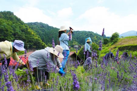 善玉菌が豊富な有機農場で開催 オーガニックコutf-8 善玉菌が豊富な有機農場で開催 オーガニックコutf-8
