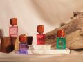 NOSE SHOPの新業態「U NOSE SHOP(ユー ノーズショッ NOSE SHOPの新業態「U NOSE SHOP(ユー ノーズショッ