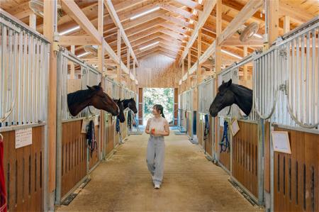 【JAF滋賀】観光養老牧場 メタセコイアと馬の森にて、 【JAF滋賀】観光養老牧場 メタセコイアと馬の森にて、