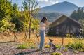 「あさま空山望」に愛犬との一人旅プランが誕生 初夏 「あさま空山望」に愛犬との一人旅プランが誕生 初夏