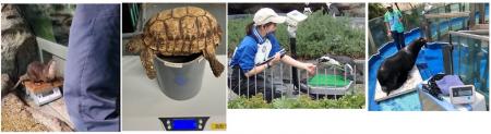 サンシャイン水族館いきものディスカバリー通信vol.27 サンシャイン水族館いきものディスカバリー通信vol.27