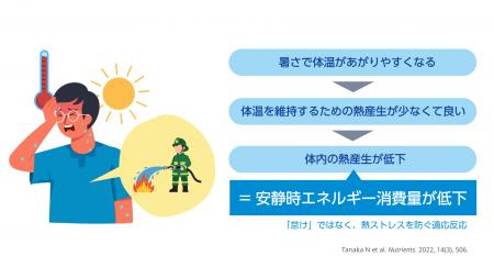 猛暑に潜む“カラダの省エネ化” 見落とされがちな「安 猛暑に潜む“カラダの省エネ化” 見落とされがちな「安