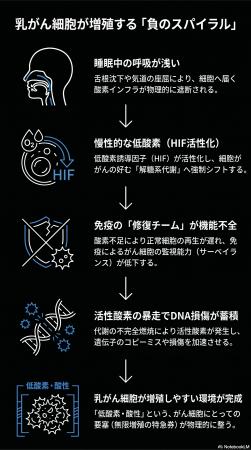 乳がんリスクの“最上流”にあるのは低酸素環境だった── 乳がんリスクの“最上流”にあるのは低酸素環境だった──