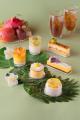 TROPICOプロモーション TROPICOプロモーション